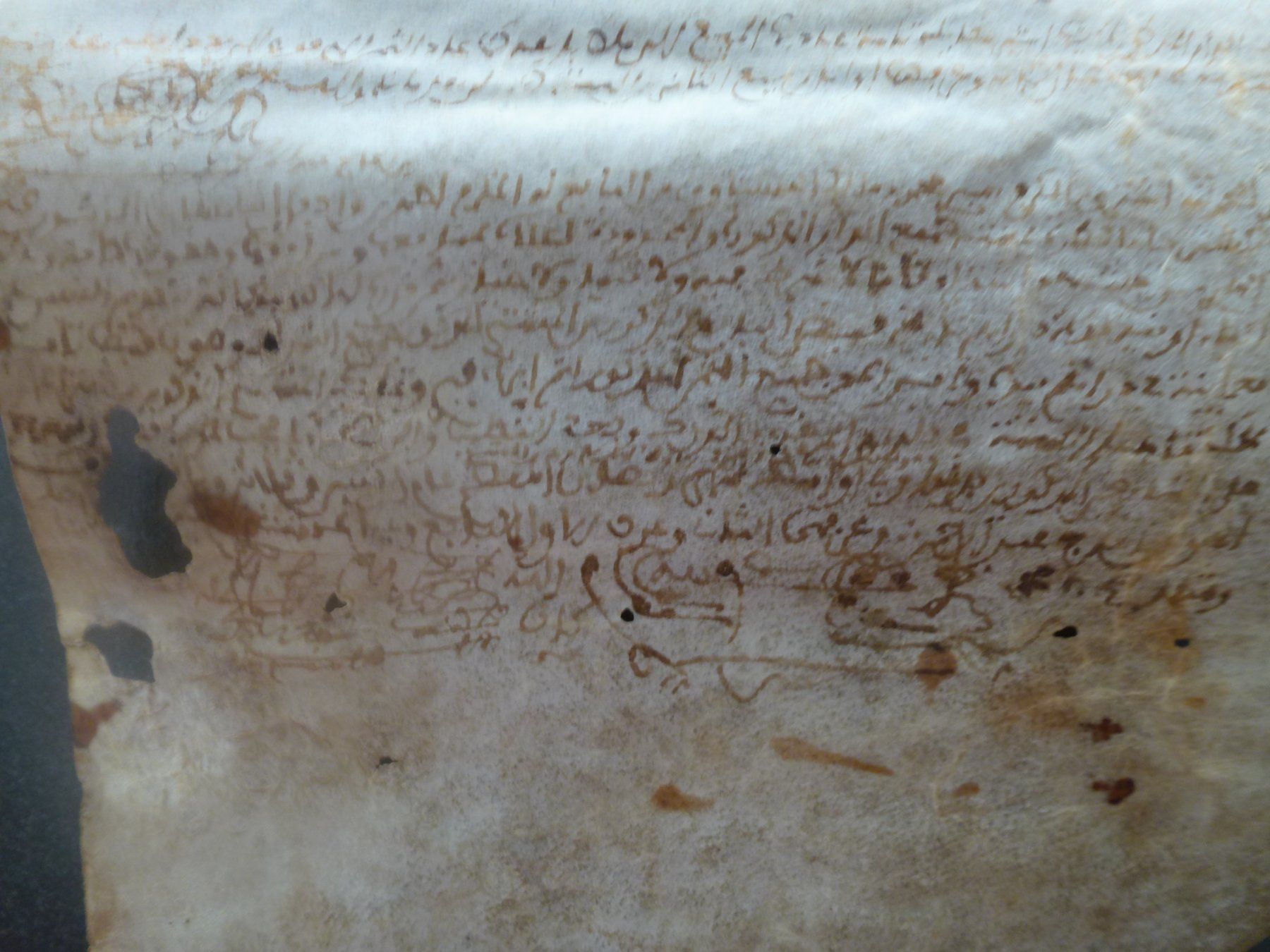 Bücher: Alte Schriftrolle aus Ägypten – Gebraucht aus Esslingen von eintagammeer 5