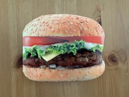Livre de cuisine "Burgers" - Larousse