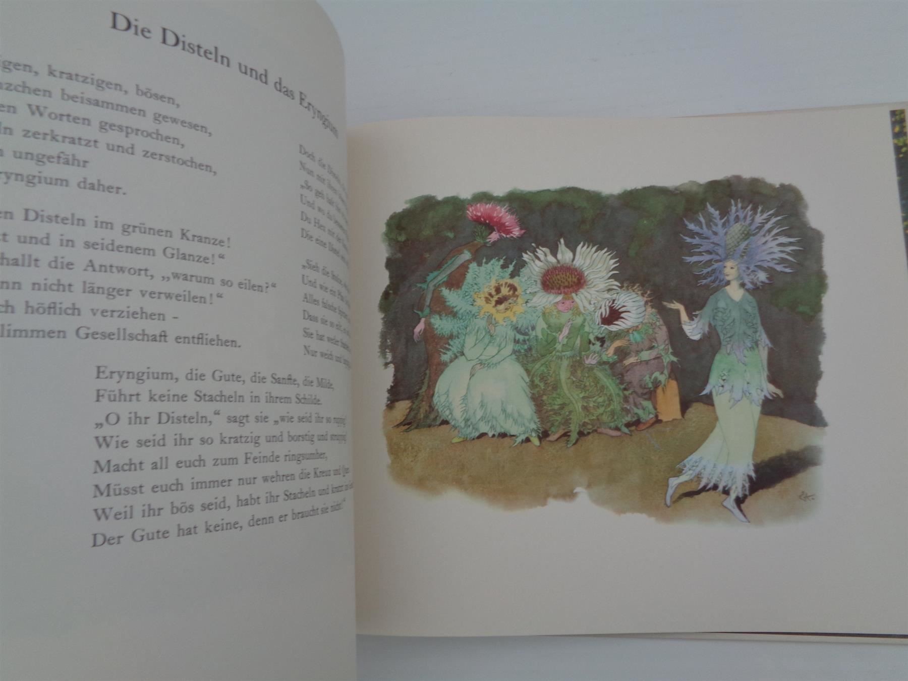 Libri: Alpenblumenmärchen von Ernst Kreidolf – Usato da Chur venduto da omonia 4
