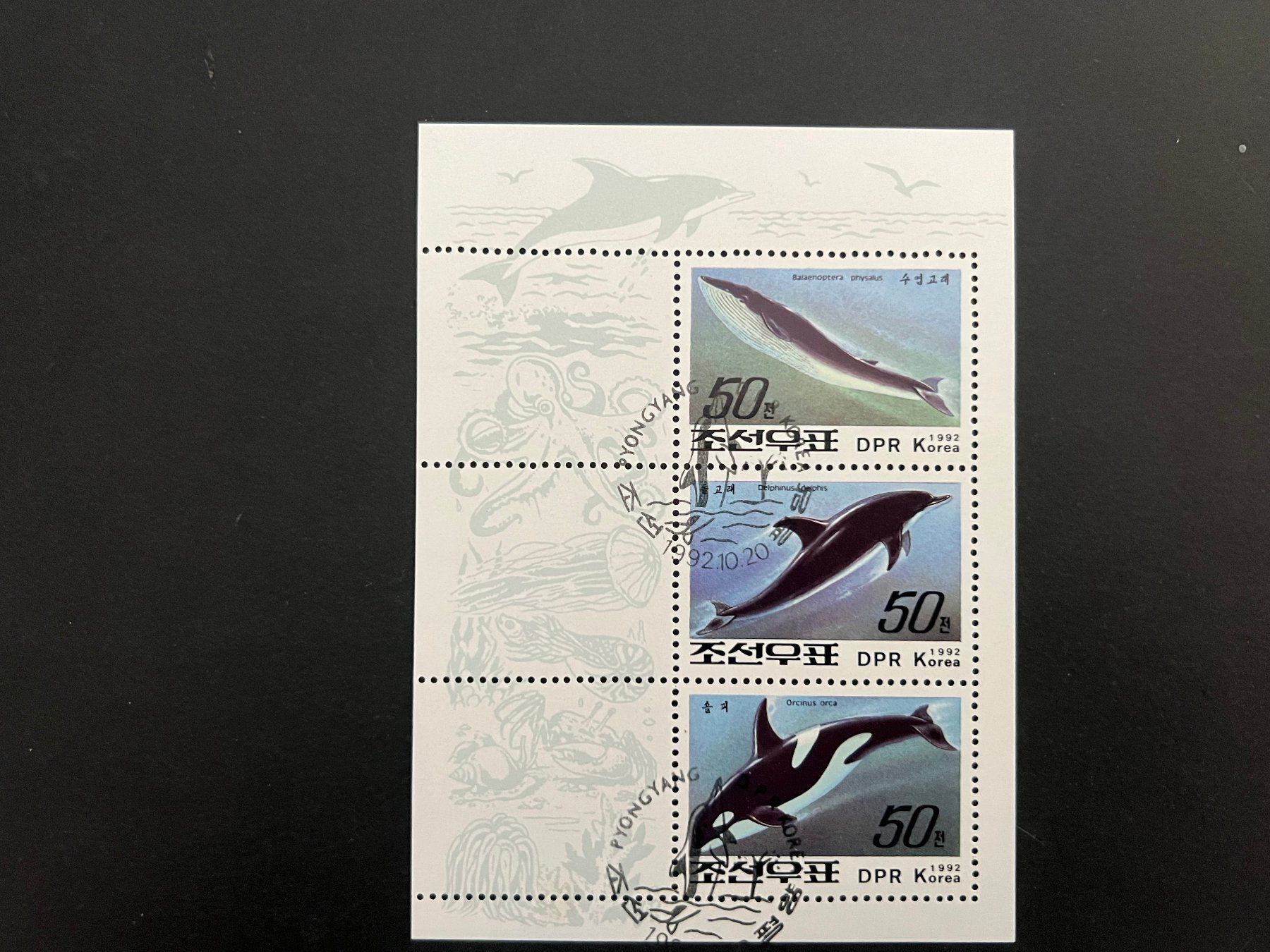 Tutti i francobolli: Korea 1992 Delphine gest.  (C540) – Usato da Hinwil venduto da Sidi4