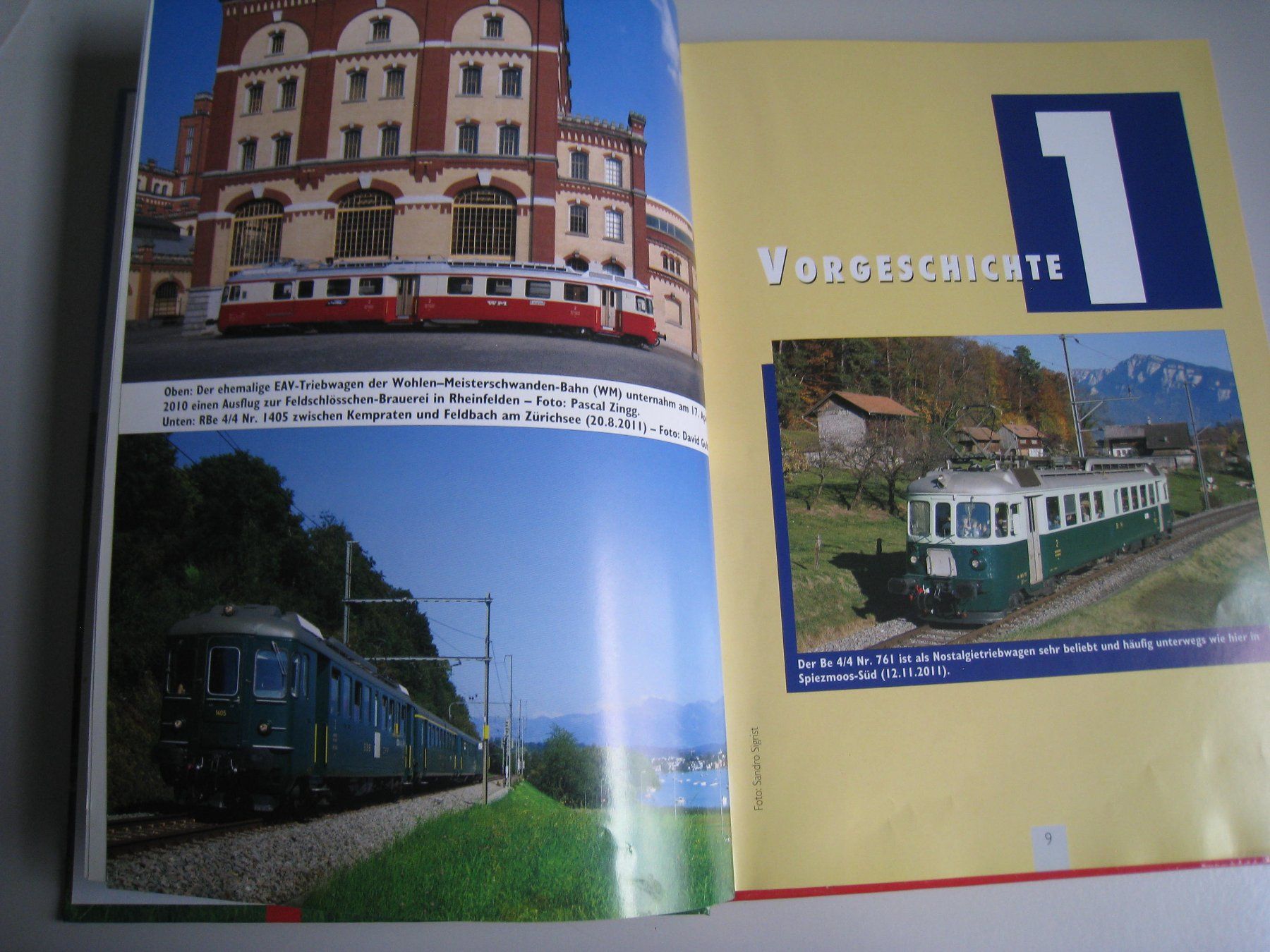Libri: Schweizer Triebwagen der 1960er Jahre, 2012 – Usato da Buchs ZH venduto da swiss-train 2