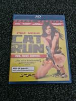 CAT RUN