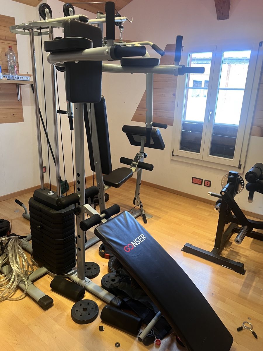 Gonser Hometrainer: Dragon Kraftstation – Usato da Davos Wiesen venduto da themister 1