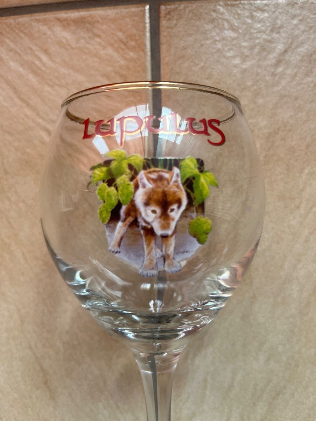 Bicchieri: Verre Lupulus Just Fabulus – Usato da Vernayaz venduto da Darkfrost 2