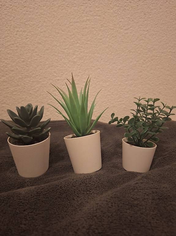 Toutes les décorations: Mini Deko Pflanzen – D'occasion à Utzenstorf par sin_x97d