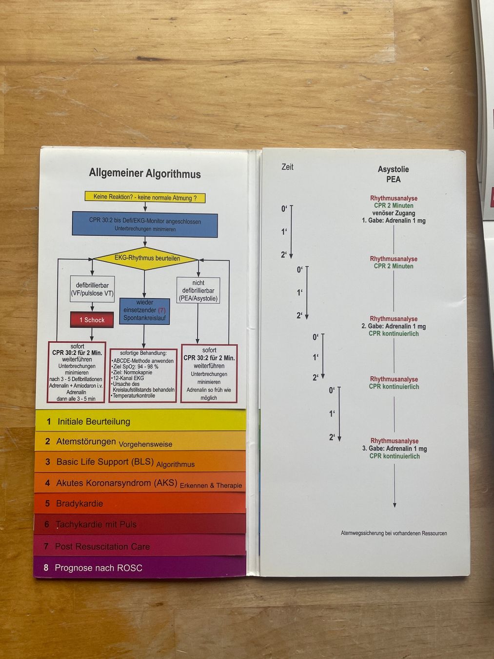 Libri: Infoflip Advanced Life Support ERC 2015 Set gebraucht – Usato da Sent venduto da ManuelB07 2