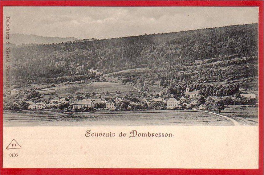 Cartoline postali: SOUVENIR DE DOMBRESSON, 1900/05 – Usato da Grüningen venduto da Kartenlaube