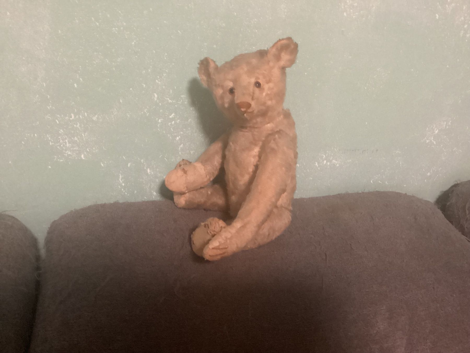Steiff Giocattoli: ANTIKER STEIFF TEDDY 1910/1920 – Usato da Münchenstein venduto da NoSu98 3