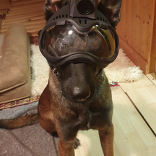 Profile image of tan_mrd2