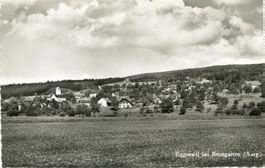 Eggenwil AG Flugaufnahme Nr.3121 , ca.1950