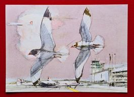 ANSICHTSKARTE ERÖFFNUNG FLUGHAFEN ZÜRICH 313 ET 1953 FDC