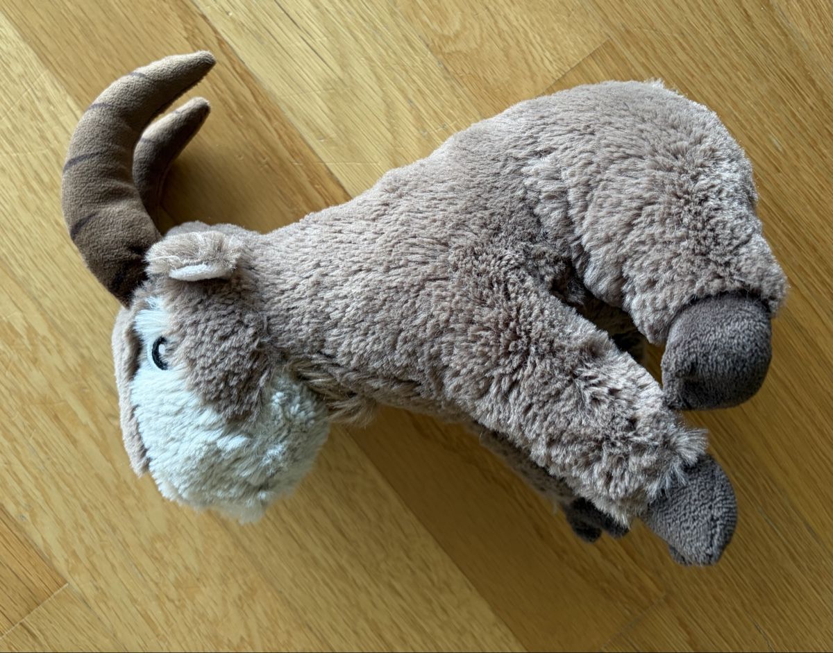 Giocattoli: Plüsch Steinbock - ca. 26cm hoch – Usato da Zürich venduto da JtheBAB