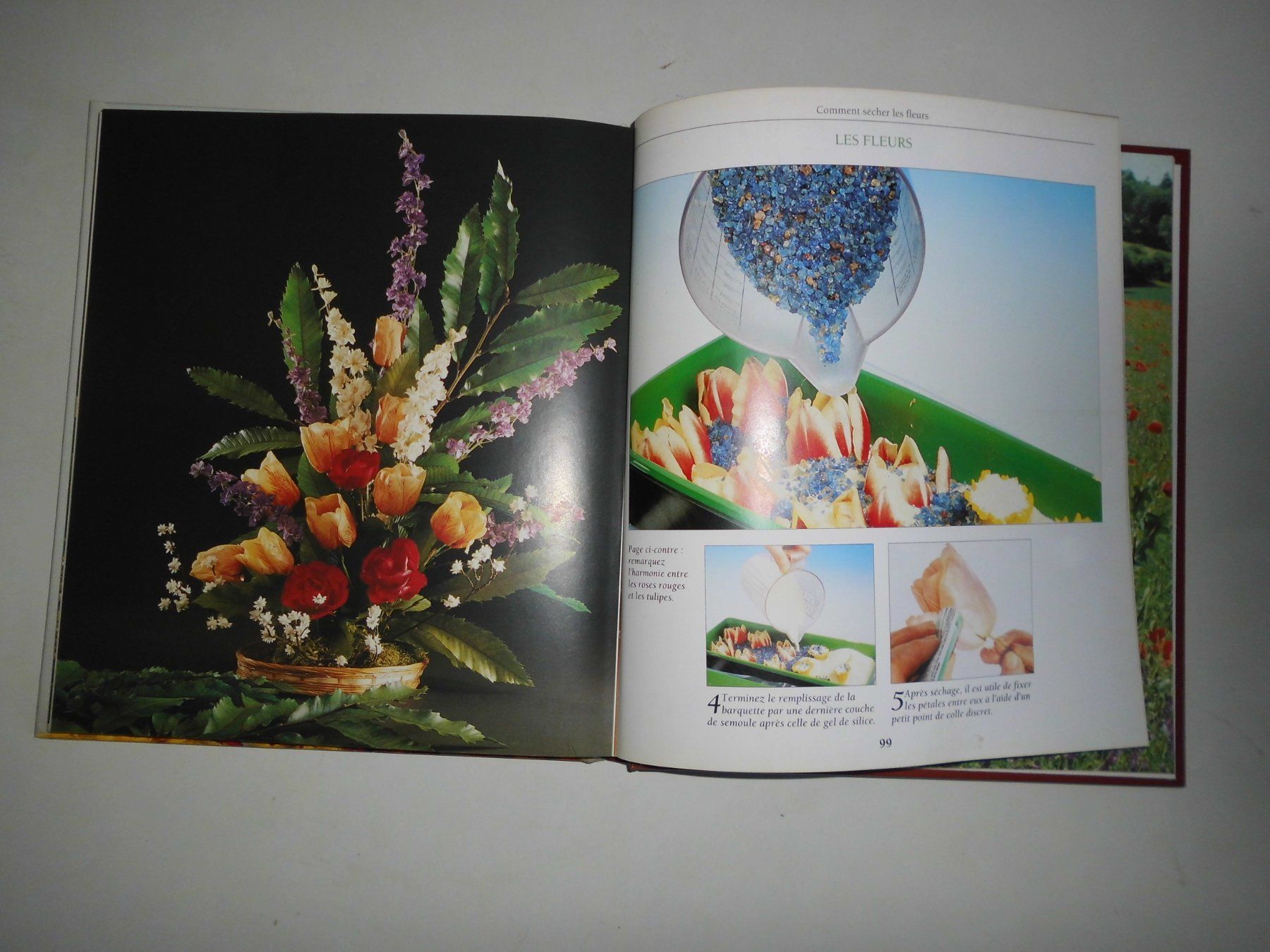Libri: Comment sécher les fleurs et composer des bouquets – Usato da Marin-Epagnier venduto da Madja 3