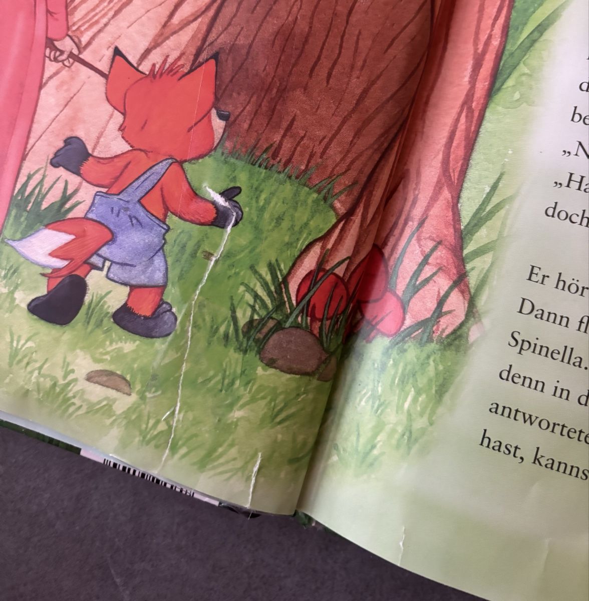 Libri: Märchenbuch "Geschichten aus dem Feenwald" – Usato da Herzogenbuchsee venduto da MoLa85 6