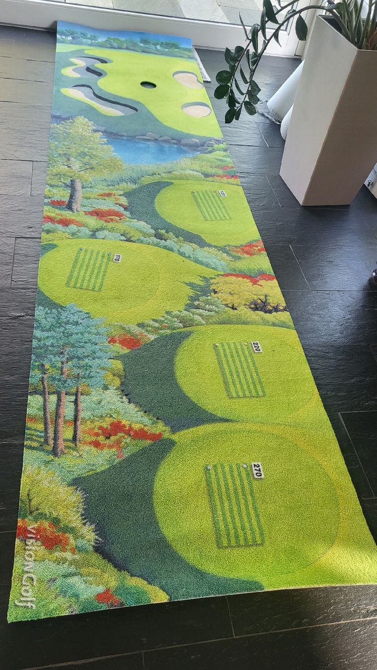 Mazze & Set: Vision Golf Putting Matte - hochwertig – Nuovo (secondo la descrizione) da Gutenswil venduto da Spomi
