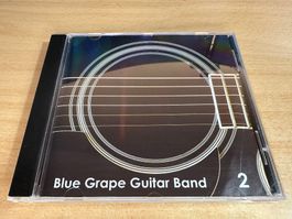 E5 Blue Grape Guitar Band 2