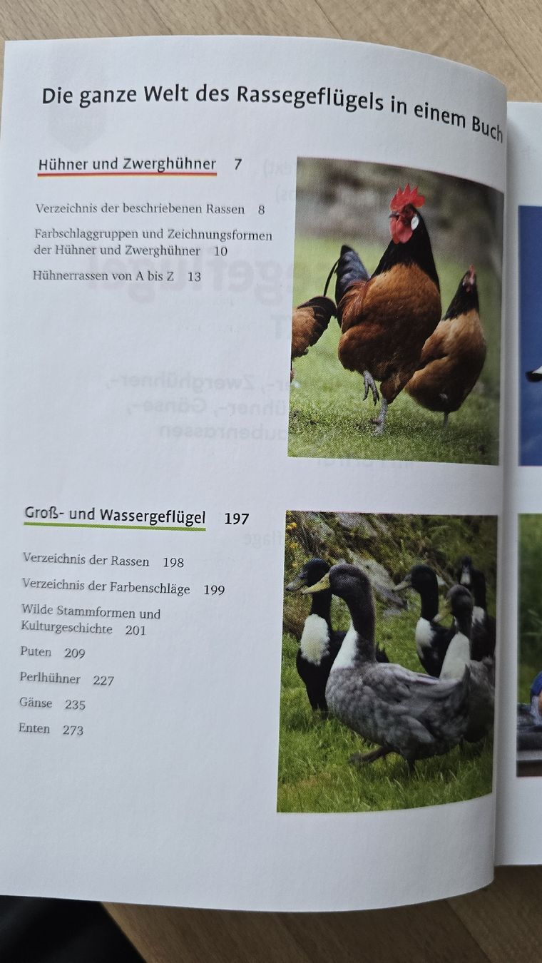 Libri: Rasse Geflügel Kompakt – Nuovo (secondo la descrizione) da Rüthi (Rheintal) venduto da Sinhue 3