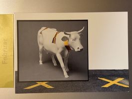 AK von Kühe Kunst Projekt / Max Bill