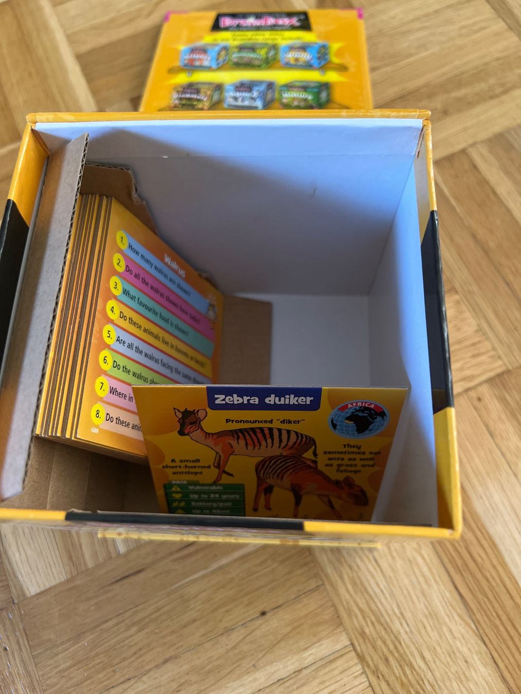 Giochi: BrainBox Lernspiel Tiere - englisch – Usato da Zuchwil venduto da Commander0 2