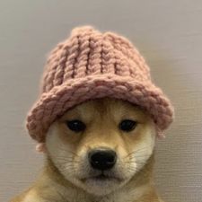 Profile image of DKNSTUDIOS