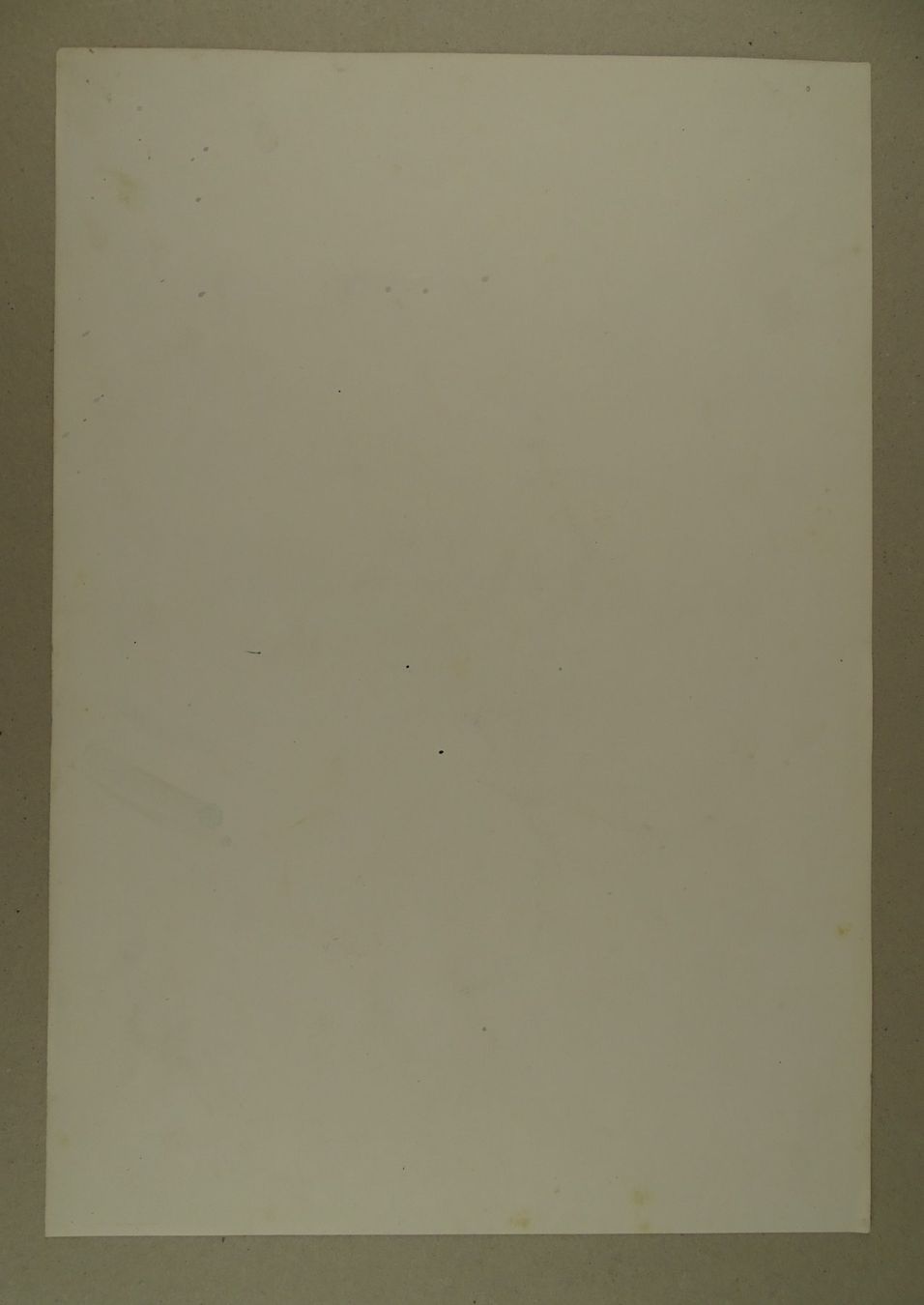 Incisioni: FLEUR BLUME, LITHOGRAPHIE UM 1850 – Usato da Grüningen venduto da Kartensammler 6