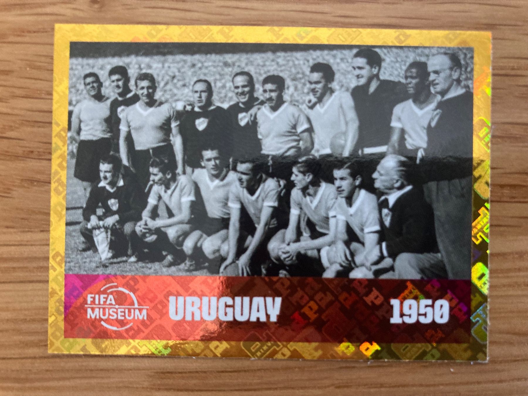 Panini Carte collezionabili: WM Sticker FWC 10 – Nuovo (secondo la descrizione) da Winterthur venduto da Whitefish