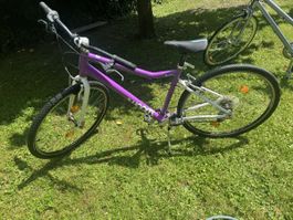 Woom Bike 6
