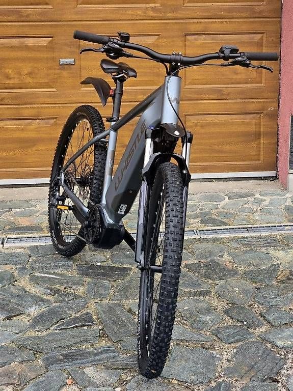 Bosch Biciclette: E-Bike Whistle Matro AP500 – Usato da Meilen venduto da ug1_6t6c 1