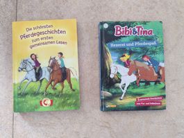2 Pferdegeschichten Bücher Bibi und Tina