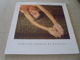 Roger DALTREY " Parting should be painless " LP 1984 (EX)