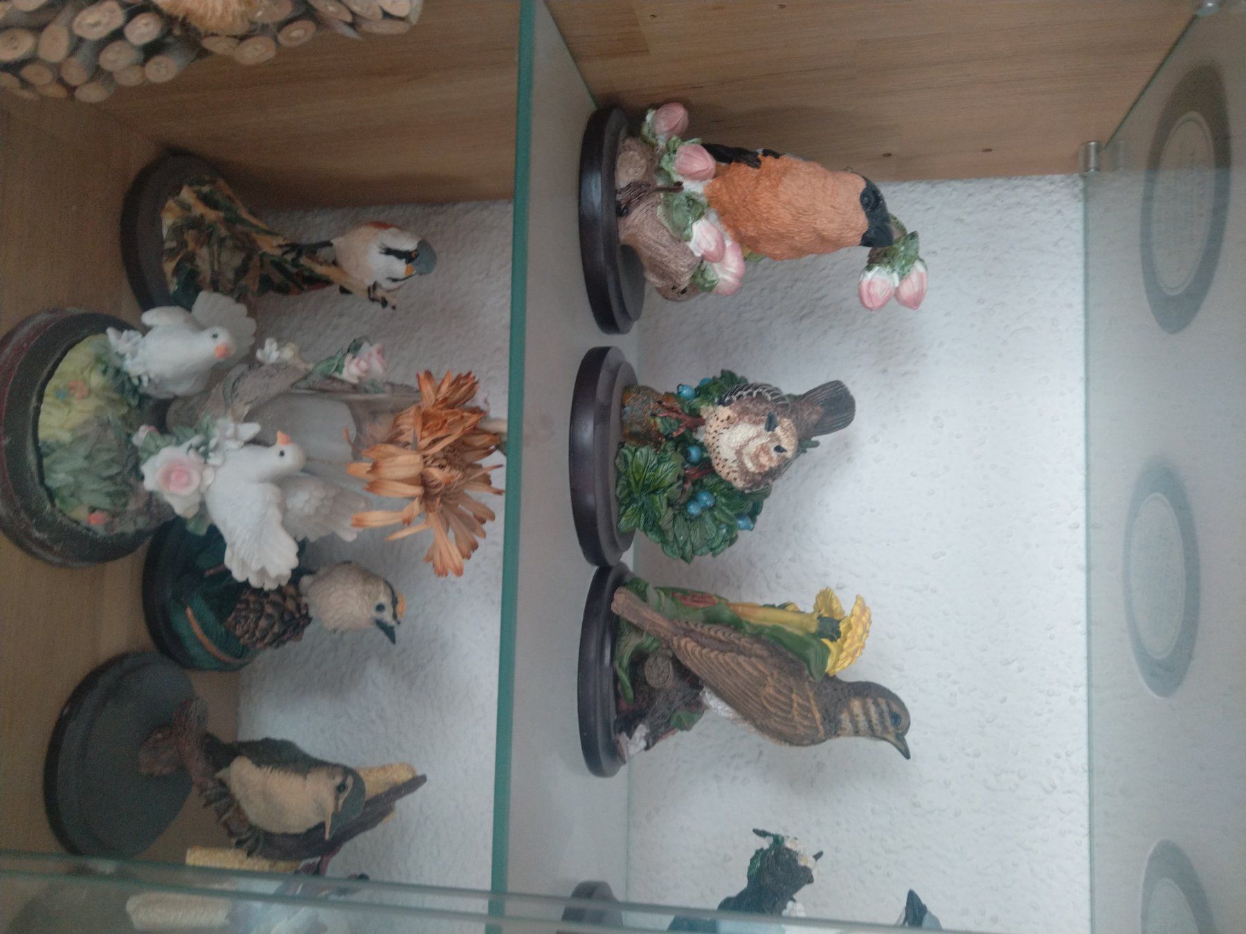 Tutte le decorazioni: A vendre collection de 80 oiseaux – Usato da Tramelan venduto da and_j8tk 2