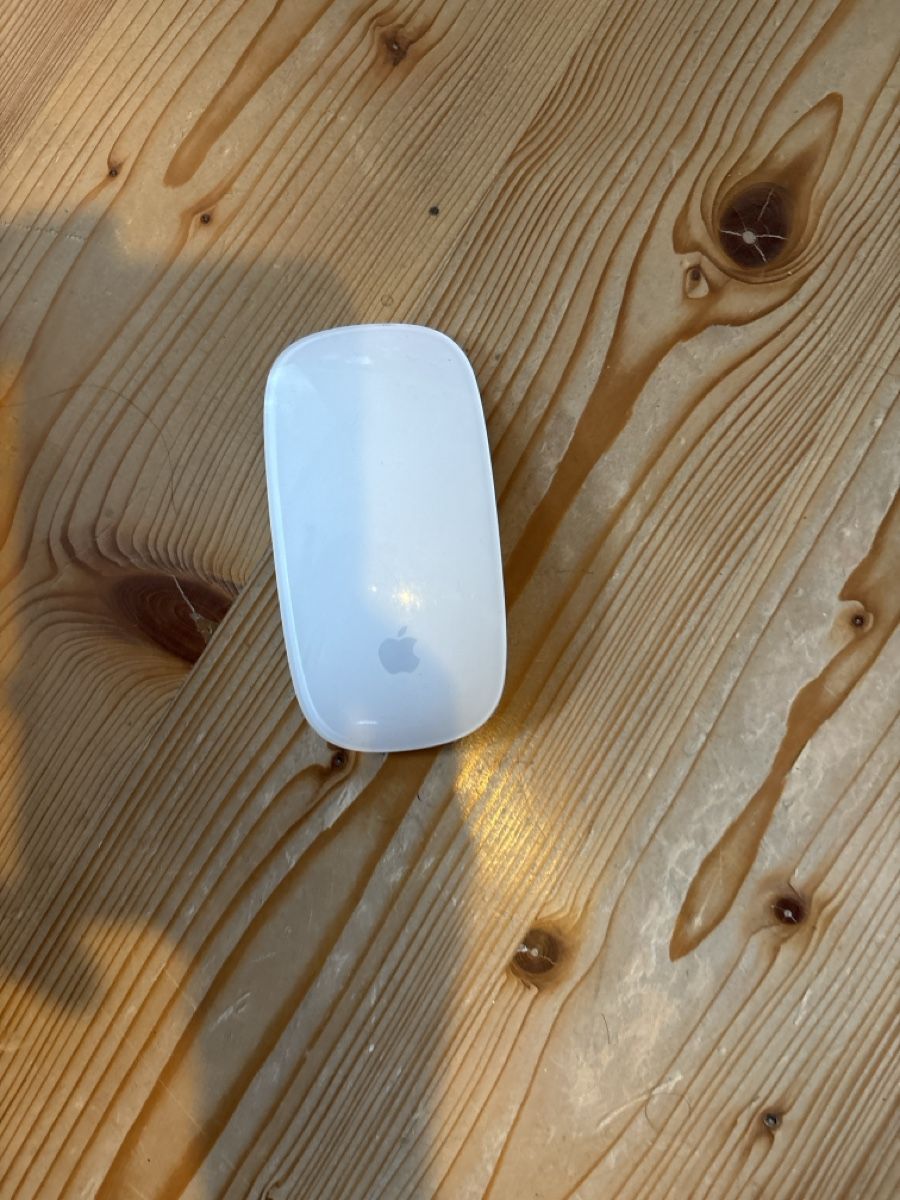 Apple Mouse: Magic Mouse  – Usato da Les Bois venduto da StockSecure