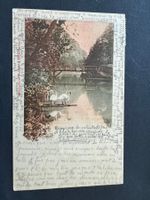 Postkarte SCHWANENPAAR 1900 Geneve  (P41)