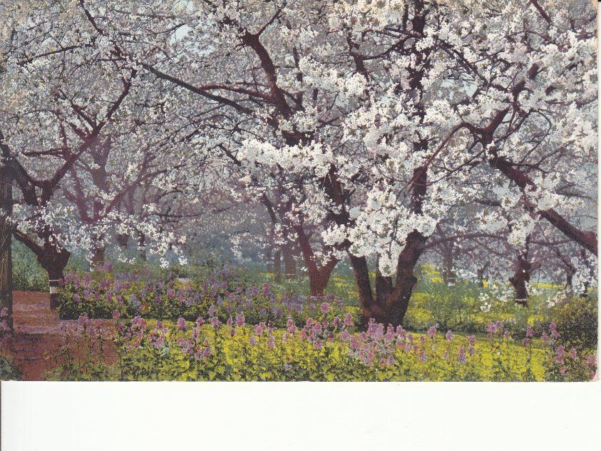Cartoline postali: Photochromie Nr. 2455 – Usato da Bürglen TG venduto da StampGraf
