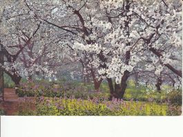 Photochromie Nr. 2455