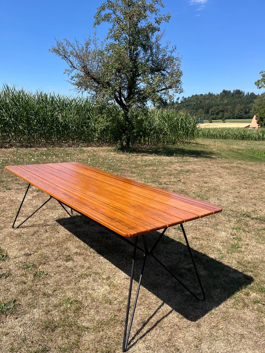 Tavoli: Gartentisch Style 70 er Jahre Restauriert – Usato da Allmendingen b. BE venduto da juair 7