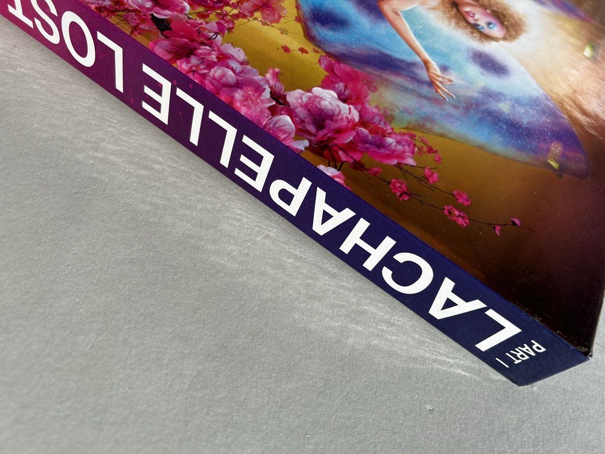 Libri: LaChapelle Lost + Found TASCHEN Buch – Usato da Zürich venduto da Coffeetable88 6