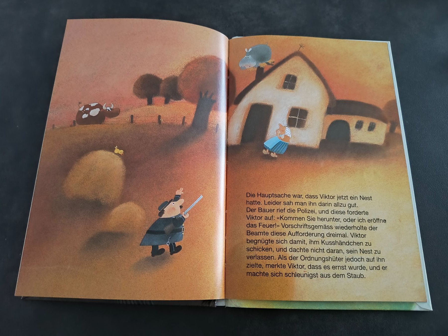 Libri: Das fliegende Nilpferd Guy Counhaye Kinderbuch gebraucht – Usato da Schöfflisdorf venduto da KKB-Team1 2