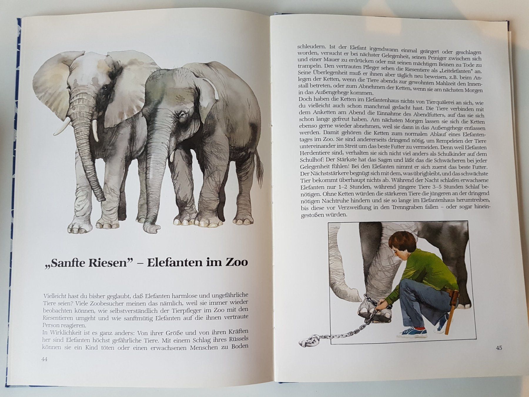Libri: Das grosse Buch vom Zoo – Usato da Herrliberg venduto da Jummi 5