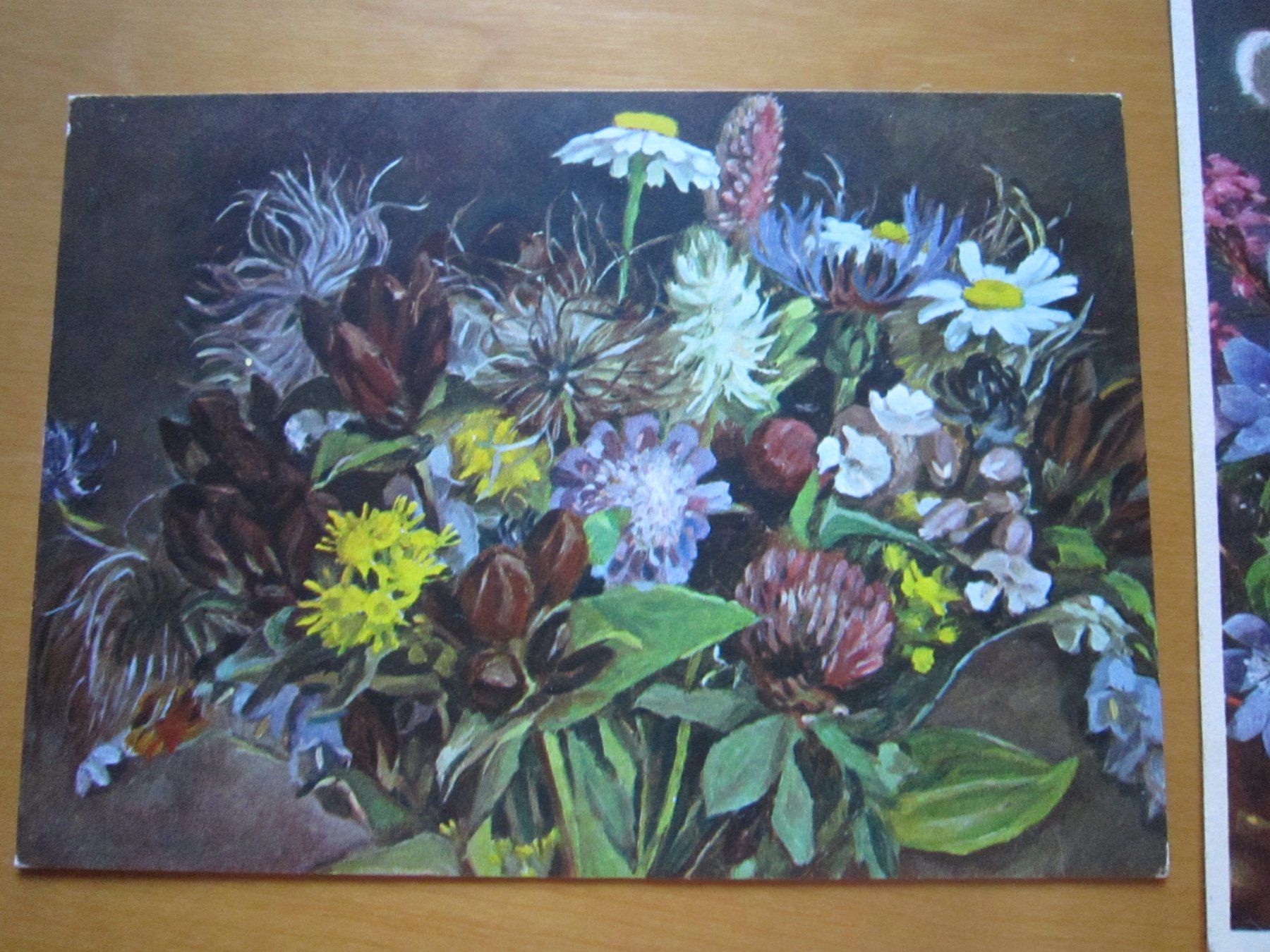 Ansichtskarten: No2 Postkarten Blumen – Gebraucht aus Gordola von Polentaefung 1