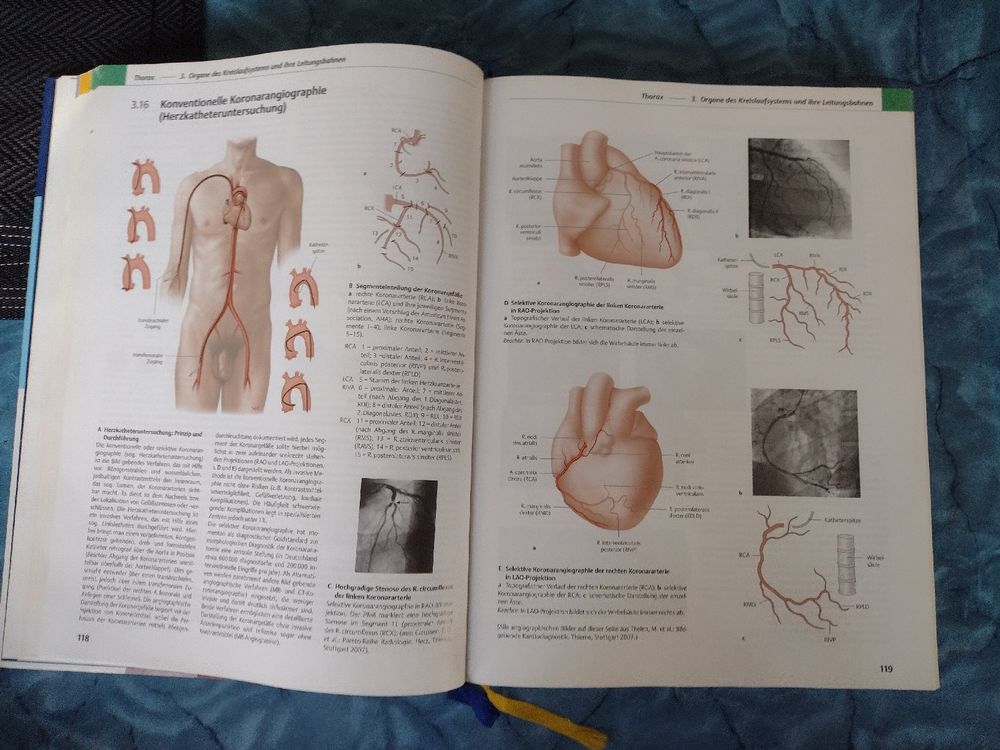 Prometheus Anatomy Atlas: Internal Organs - 3rd Edition (Gebraucht) in ...