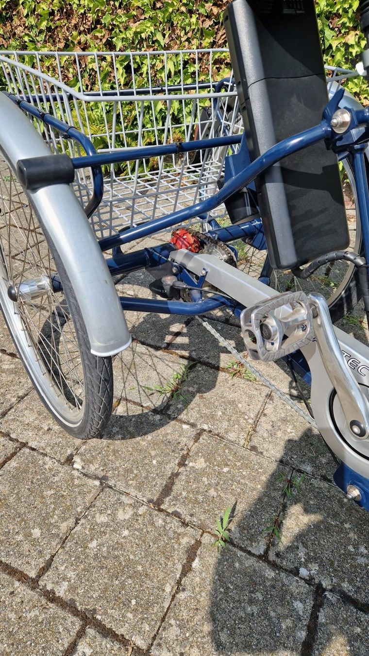 Veicoli elettrici: Elektro 3 Rad Velo – Usato da Seengen venduto da Pfoesu07 6