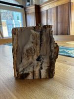 Handgeschnitzte Eule versteinertes Holz, ca. 20cm