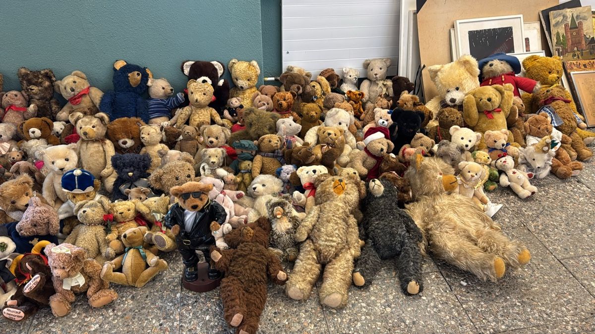 Bambole: Plüschtiere Teddybären – Usato da Kollbrunn venduto da Jani2015 2
