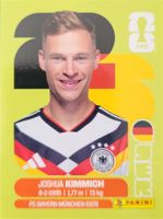 Panini FIFA World Cup GER 10
