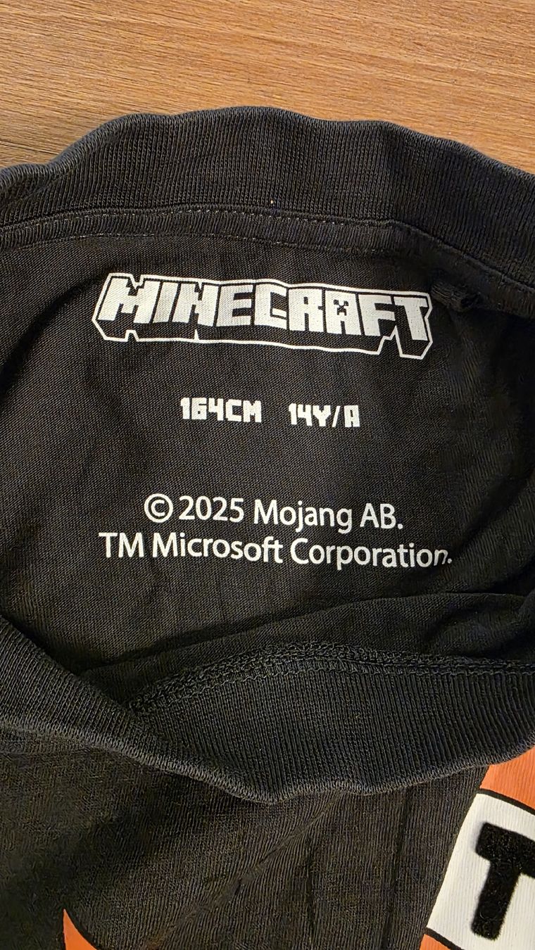 C&A Maglioni & Felpe: Minecraft Langarmshirt Gr. 164 – Nuovo (secondo la descrizione) da Wettingen venduto da broetli01 2