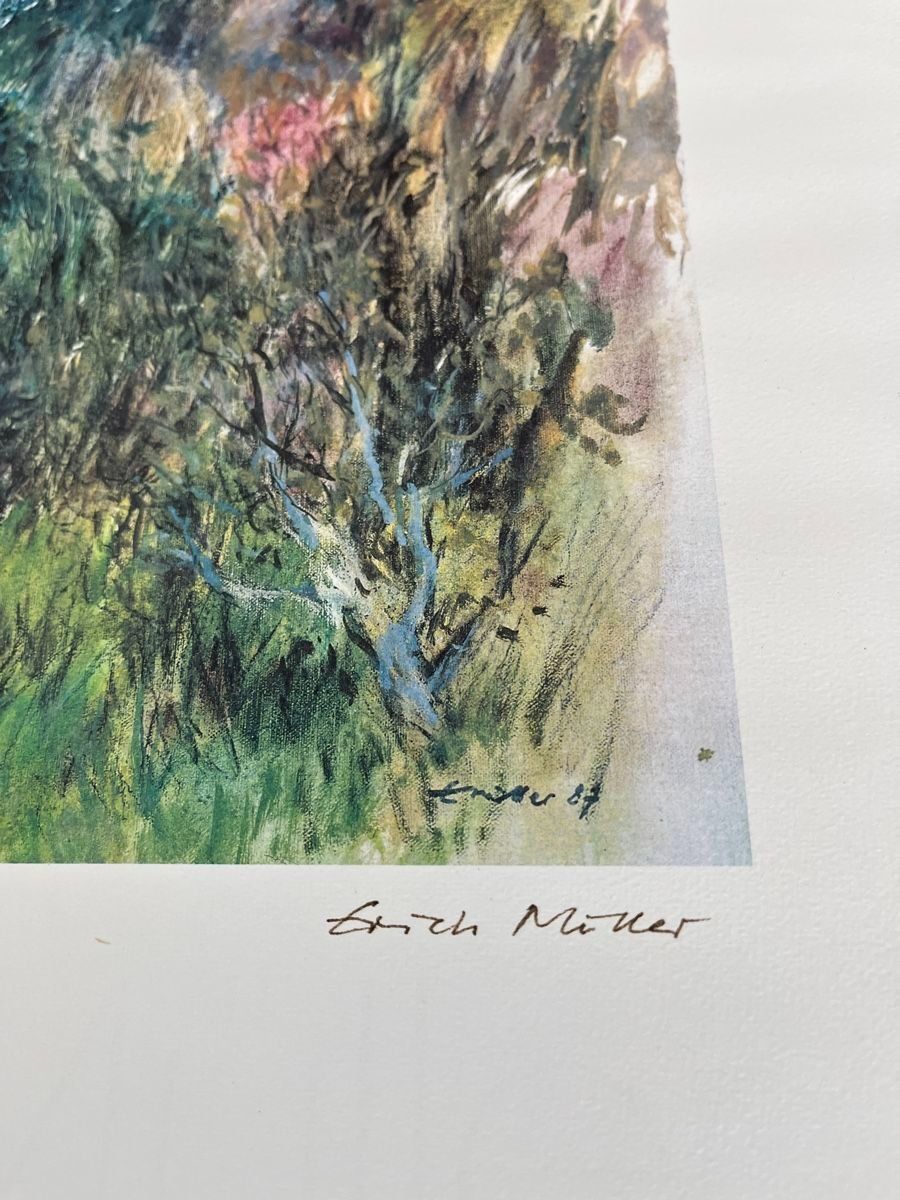 Grafiken & Lithographien: ERICH MÜLLER GRAFIK SIGNIERT NUMMERIERT – Gebraucht aus Gersau von grafik-kunst 4