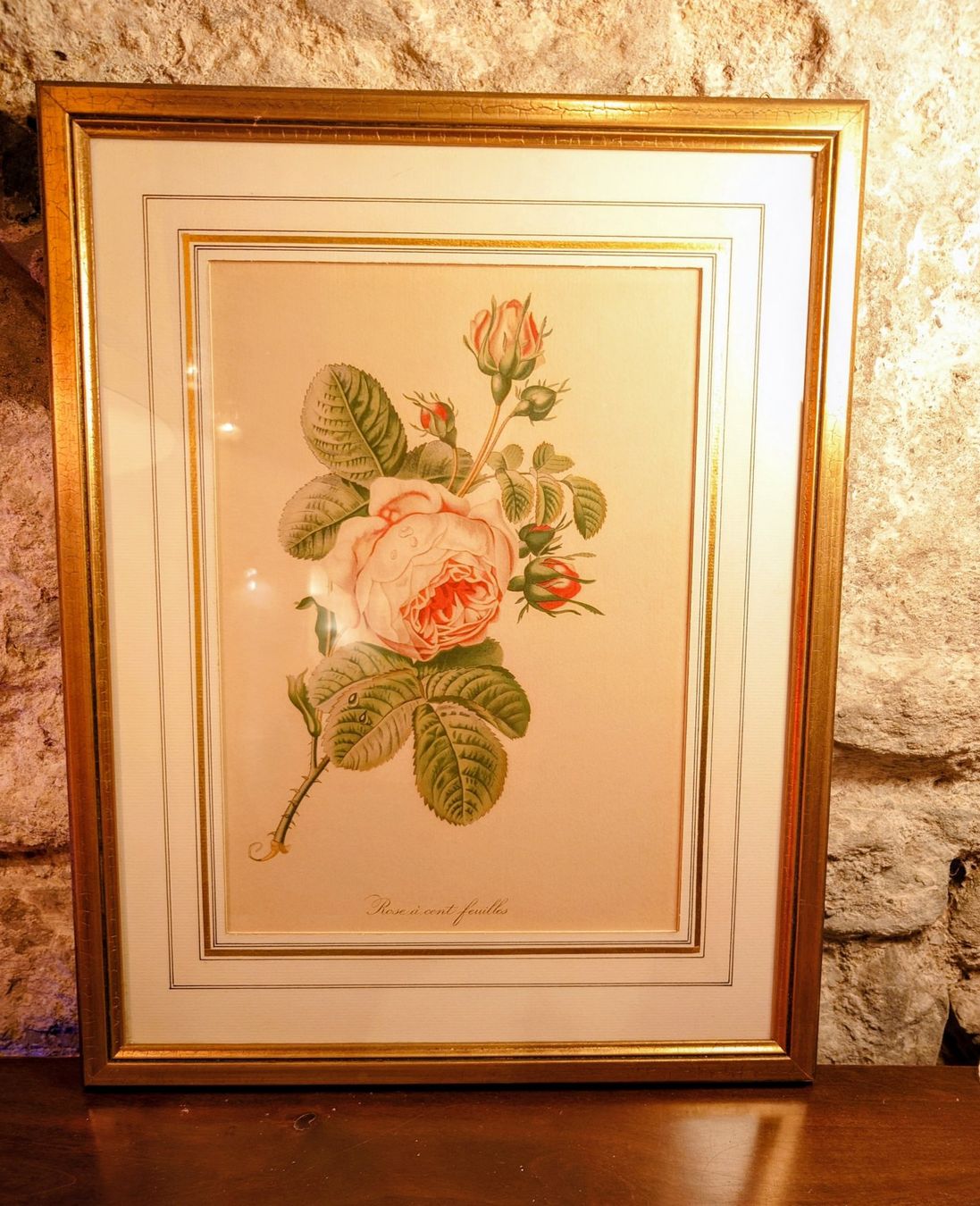 Dipinti: Antikes Bild "Rose à cent feuilles" Pierre-Joseph Redouté – Usato da Zürich venduto da Rst7 1
