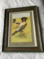 Vintage Bilderrahmen aus Holz mit Vogelmotiv