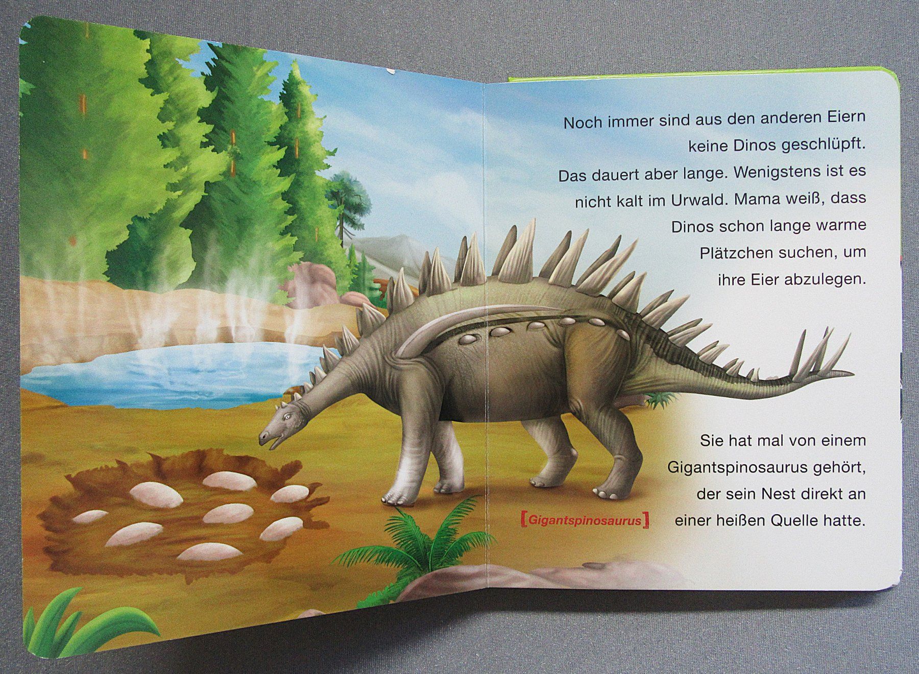 Bücher: Dinosaurier - Dinostarkes Vorlesebuch - Kindersachbuch – Gebraucht aus Auenstein von Padabimbim 6